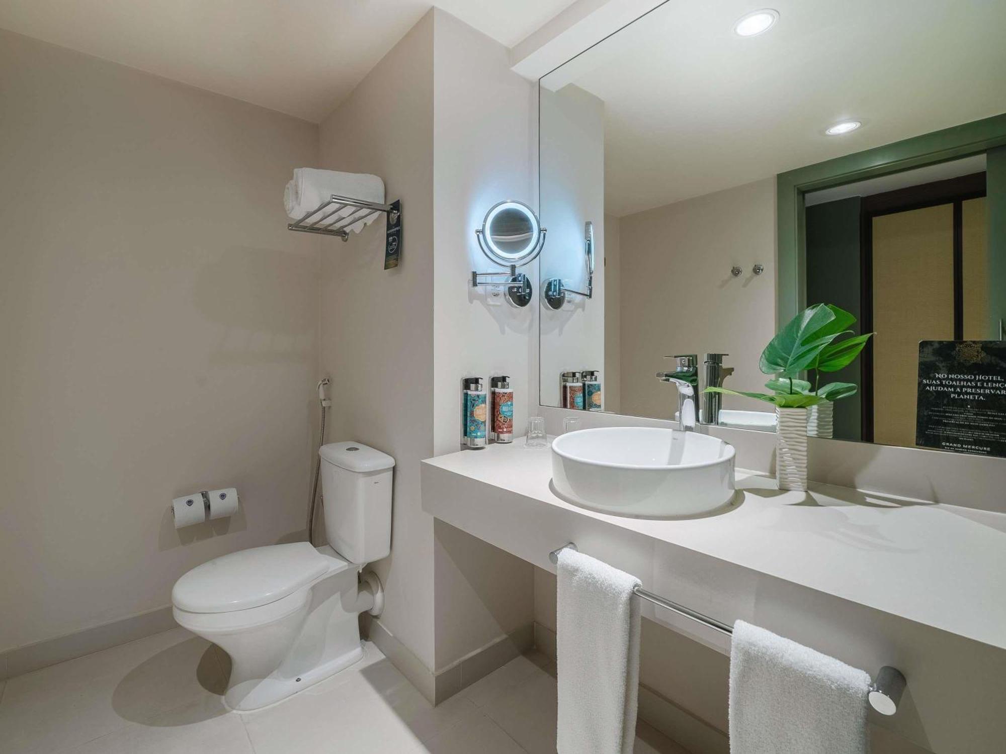 Superior Apartment One King Bed Disability Access